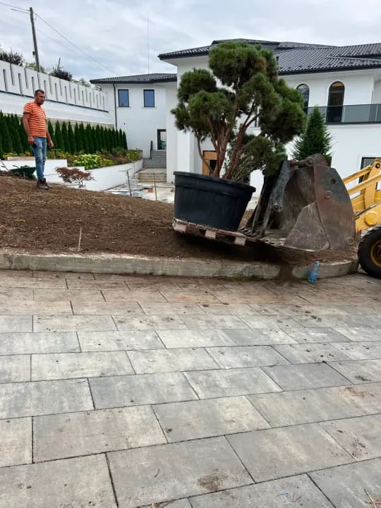 Grădină amenajată complet cu gazon și plante ornamentale în Iași