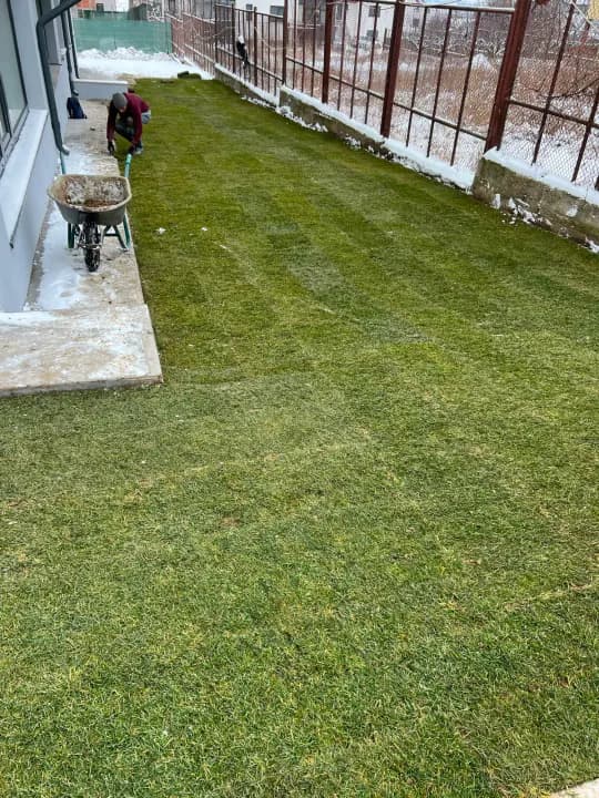 Montaj gazon rulou pe teren îngust între clădire și gard — lucrare Iași