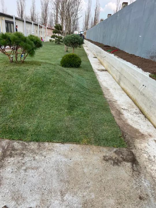 Grădină cu movile de gazon, arbori ornamentali și zid de sprijin — amenajare Iași