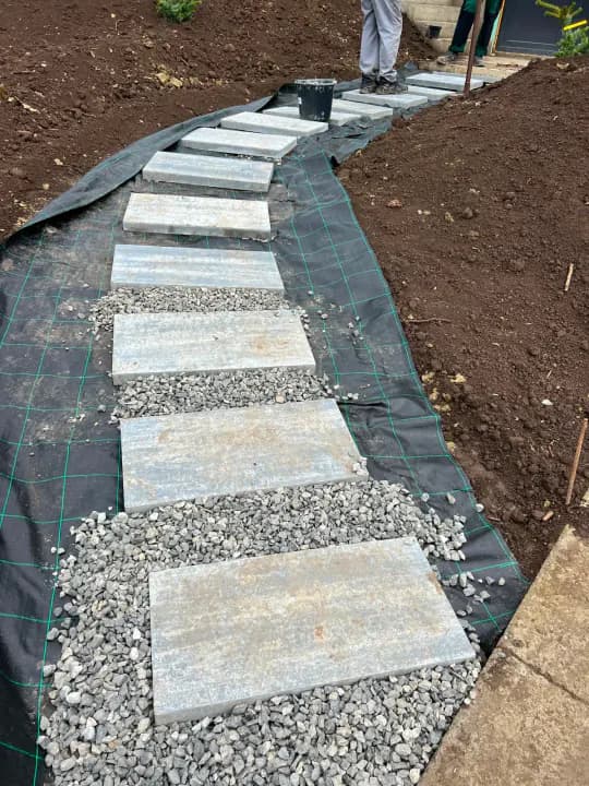 Curte modernă amenajată cu gazon și borduri decorative — Iași