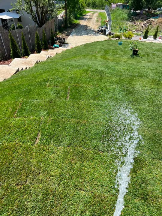 Udare gazon rulou proaspăt montat pe pantă cu tuia plantată — Iași