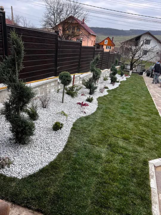 Pat pietriș alb cu conifere tunșate spiral și gazon verde — design Iași