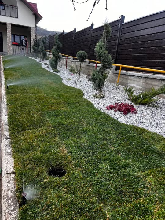 Proiect gazon rulou pe suprafață mare — rezultat imediat Iași