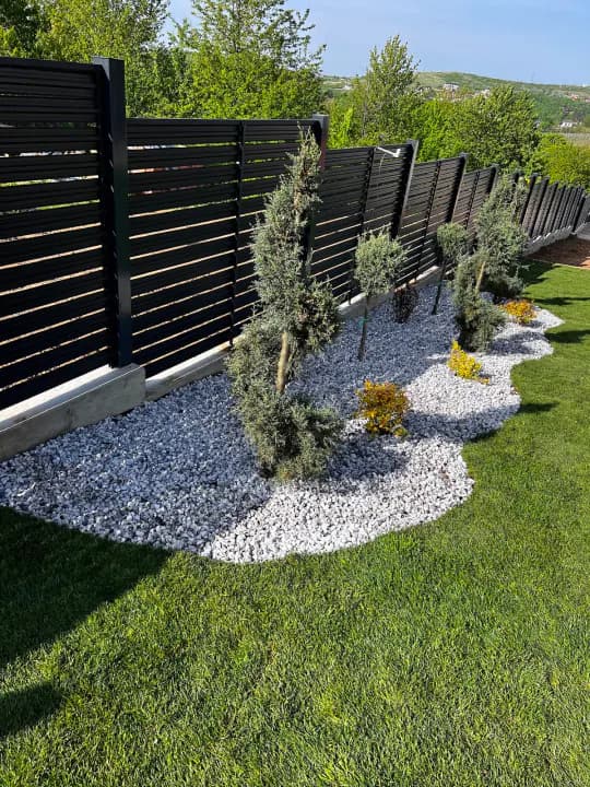 Plantare arbori și arbuști în grădină rezidențială — Iași