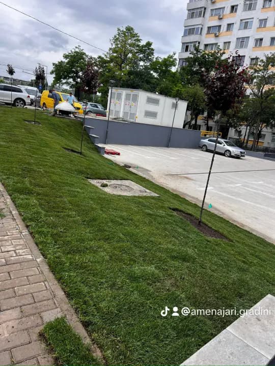 Grădină amenajată cu sistem irigații și gazon dens — Iași