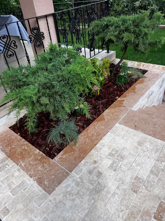 Amenajare curți cu vegetație ornamentală și gazon — proiect Iași
