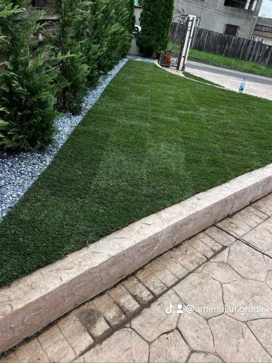 Spațiu exterior transformat cu gazon și plante — amenajare Iași
