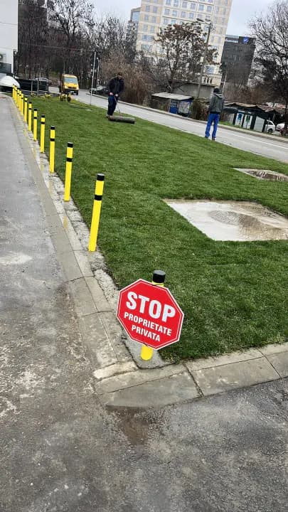 Amenajare grădină cu zone umbrite și plante rezistente — Iași