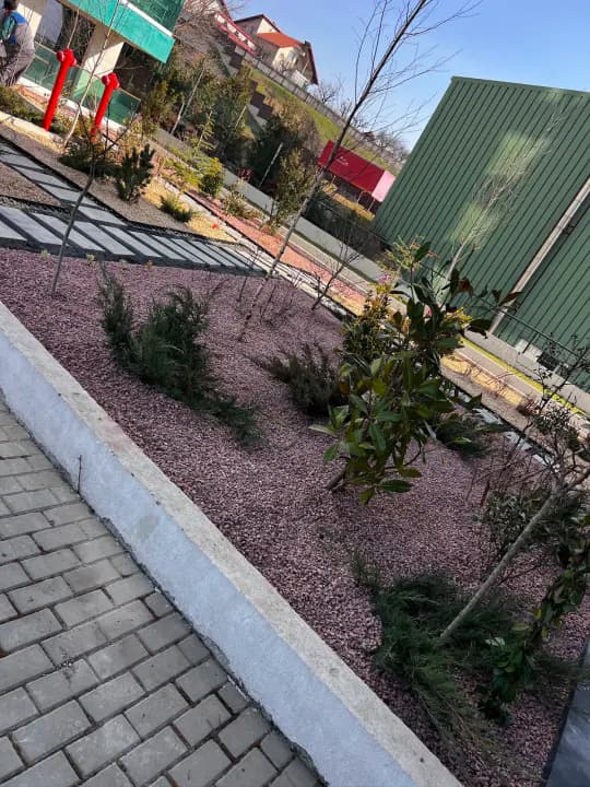 Amenajare spațiu verde corporate cu pietriș roșu și arbuști ornamentali — Iași