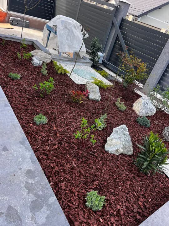 Pat mulch roșu cu piatră decorativă și plante tinere — amenajare curte Iași