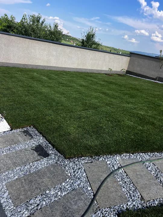 Gazon rulou proaspăt montat cu pavaj din piatră și pietriș — curte Iași