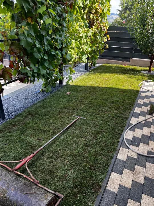 Montaj gazon rulou cu tăvălug și pavele în curte — amenajare Iași